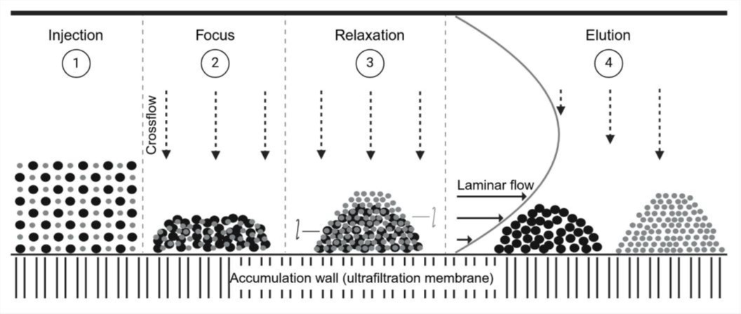 AF4 channel separation