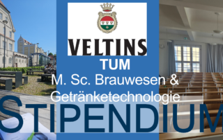 VELTINS Stipendium